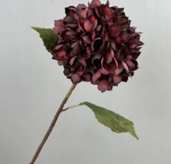 Hortensía - Burgundy