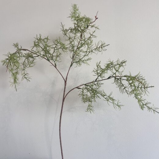 Dill grein